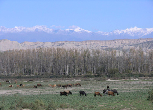 Krajobraz Azerbejdanu