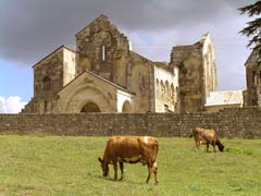 Gruzja, region Imeretia, Kutaisi, ruiny katedry Bagrati