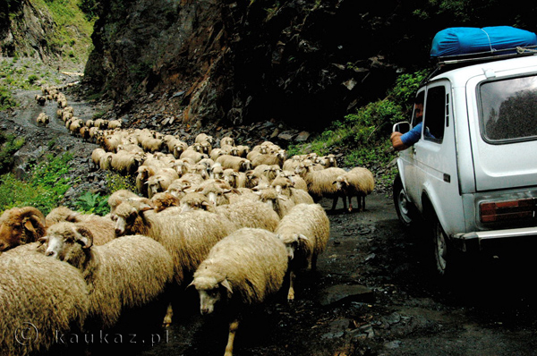 Tuszetia Tusheti Gruzja Gry Kaukaz Trekking