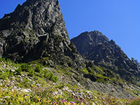 Gruzja, trekking u podnóży Ushby