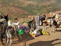 Maroko:  Berberyjska przygoda